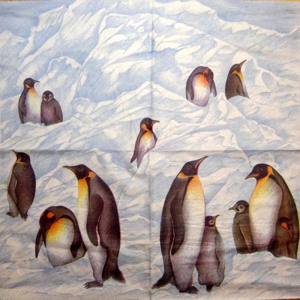 018 Penguins - 3-ply (dark) - MOLCA